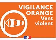 vigilance orange vent violent